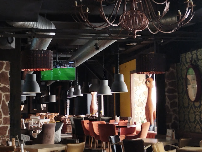 Pizza Kitty - Gastronómia a pohostinstvo