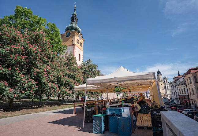 Námestie Š. Moysesa, 974 01 Banská Bystrica