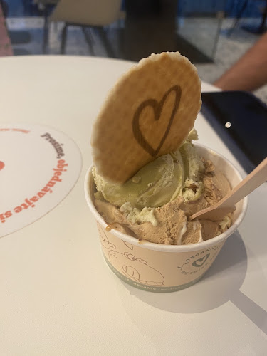 Mojasrdcovka Bratislava - Gastronómia a pohostinstvo