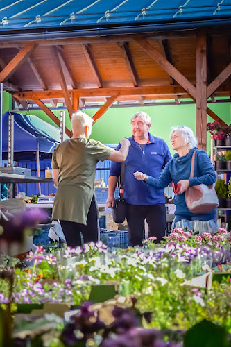 Comentarii opinii despre Mestská tržnica Turzovka