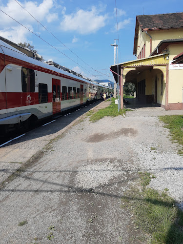 MÄSO-ÚDENINY - JÁNOŠÍK DUŠAN - Rybárpole