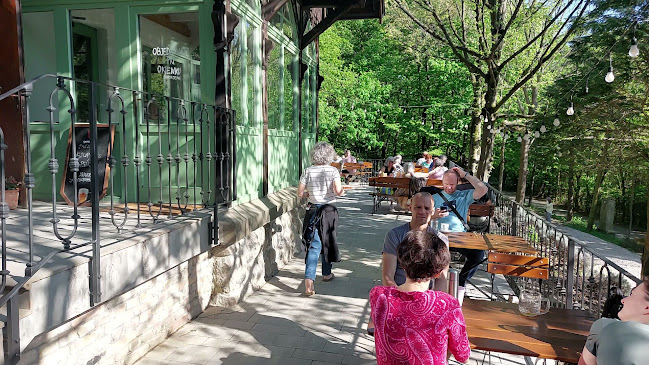 Comentarii opinii despre Schoppa restaurant