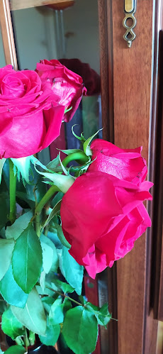 Kvetinárstvo A & Z IRIS s.r.o. - Stará Turá