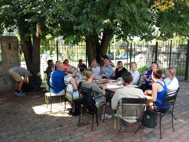 Opinii despre areál THEBENER - Devínsky ríbezlák în Devín - Gastronómia a pohostinstvo