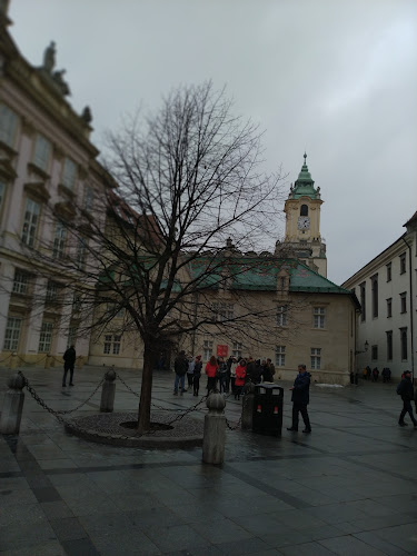 Comentarii opinii despre Zmrzlina Gelato