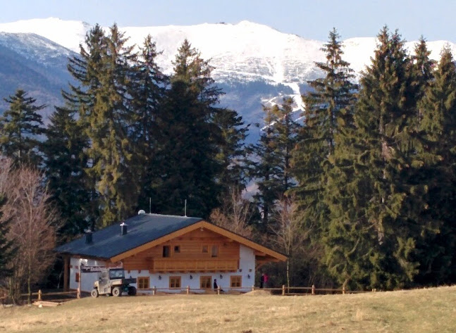 Comentarii opinii despre Dedečkova chata