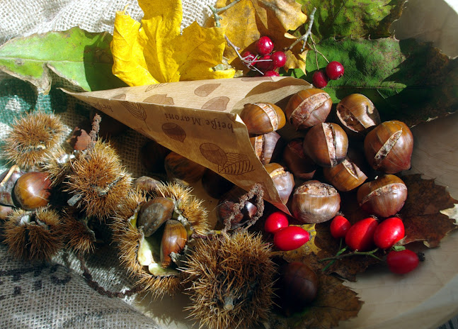 Cukrkandel Patisserie