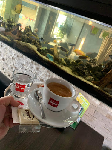 Cafe & Bar Rybička - Šaľa