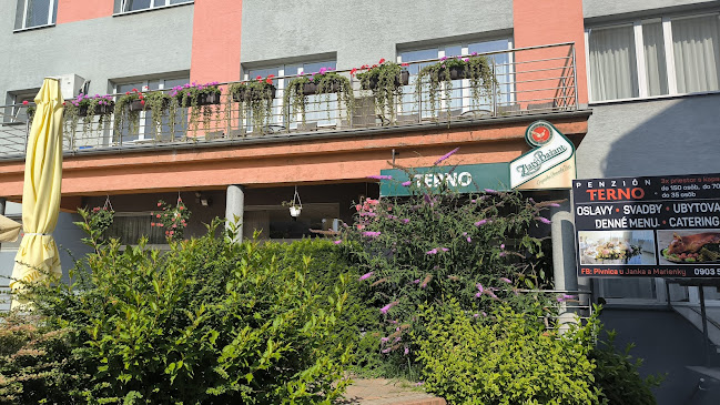 Reštaurácia Terno - Gastronómia a pohostinstvo