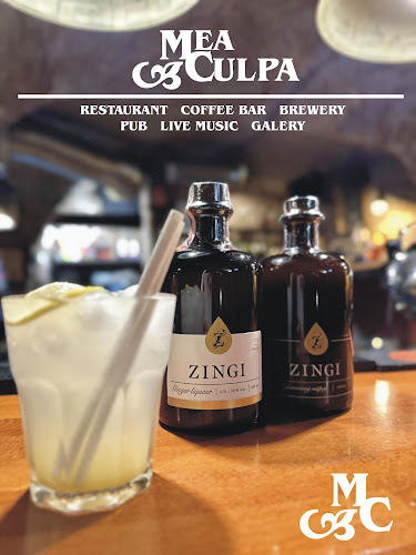 Comentarii opinii despre Mea Culpa