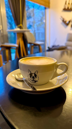 Boston Café - Gastronómia a pohostinstvo