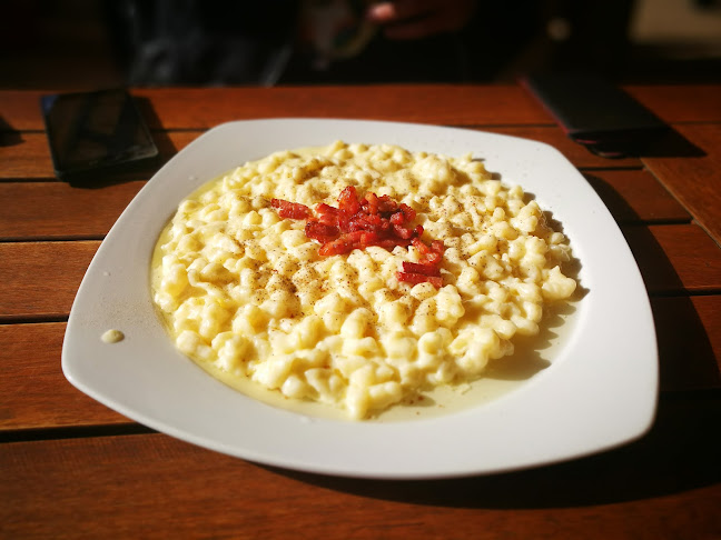 Kaštieľ Fričovce - Gastronómia a pohostinstvo