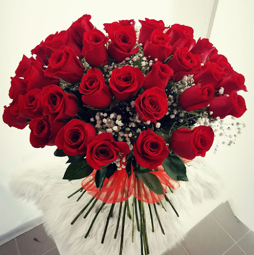 2, Poľná 51, 034 01 Ružomberok