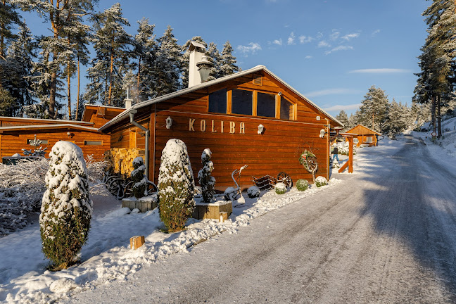 Opinii despre Koliba Bystrina în Demänovská Dolina - Gastronómia a pohostinstvo