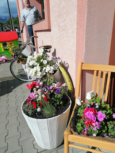 Dolná 11, Lopej, 976 81 Podbrezová