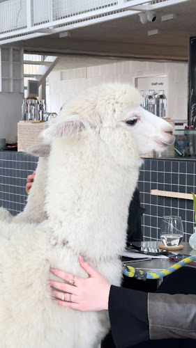 Opinii despre Bite&Byte în Bratislava - Gastronómia a pohostinstvo