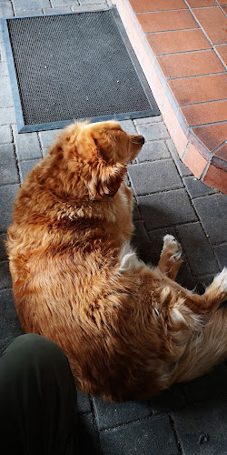 Opinii despre Trio Monika în Sereď - Gastronómia a pohostinstvo