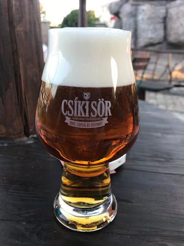 Comentarii opinii despre Sport 11! Pub