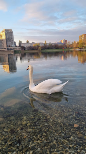 Comentarii opinii despre Štrkovecká Lodenica