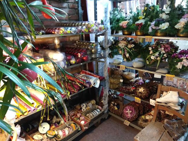 Kvetinárstvo A & Z IRIS s.r.o. - Stará Turá