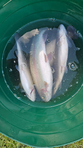 Comentarii opinii despre Rybáreň "Na Háku" Liptovská Sielnica