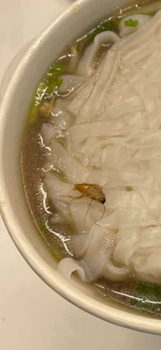 Opinii despre White Rabbit Noodle Bar & Sushi în Petržalka - Gastronómia a pohostinstvo