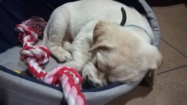 Opinii despre Záhorácka tankovňa în Malacky - Gastronómia a pohostinstvo