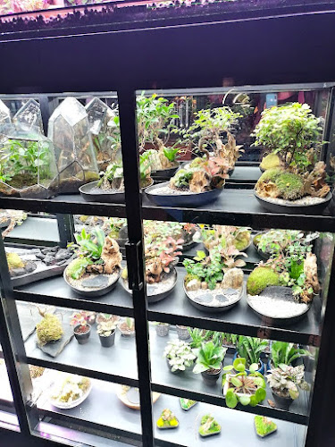 Mirror Bar - Gastronómia a pohostinstvo