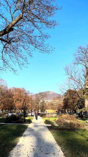 Opinii despre Starý Biskupský Hostinec în Nitra - Gastronómia a pohostinstvo