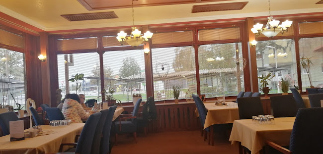 Sir Higgins - Štúrovo