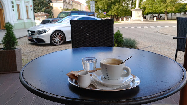 Opinii despre Restaurant u Radnice în Skalica - Gastronómia a pohostinstvo