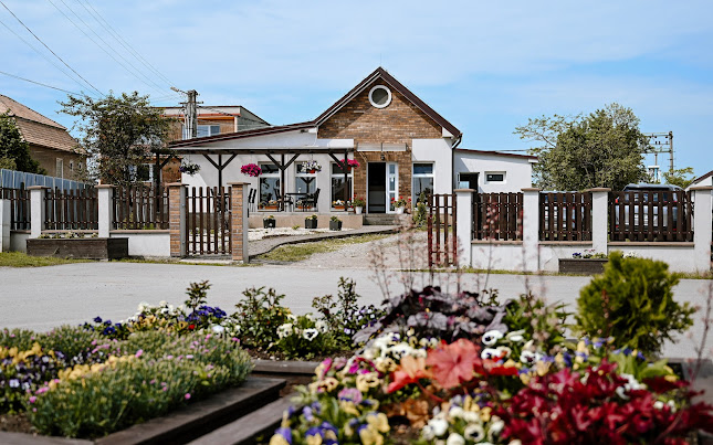 Comentarii opinii despre Rizza s.r.o.