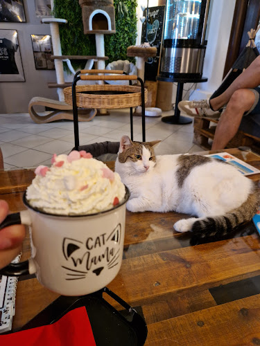 Opinii despre Mačkafé klub în Bratislava - Gastronómia a pohostinstvo