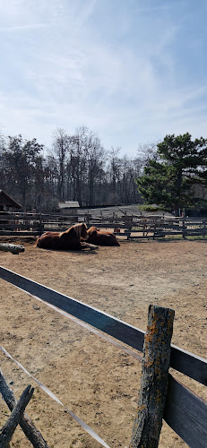 Comentarii opinii despre Biofarma PRÍRODA