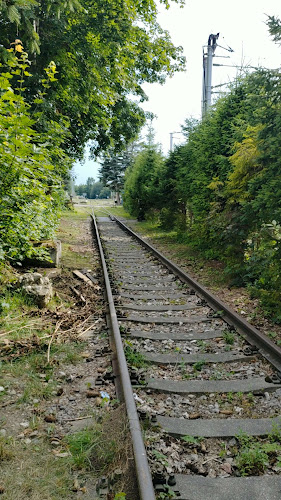 Comentarii opinii despre Domček