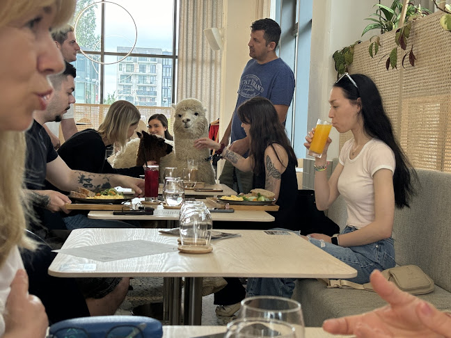 Bite&Byte - Gastronómia a pohostinstvo