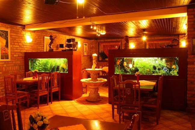 Donáška jedla Di Trevi