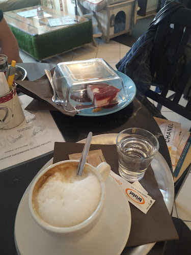 Mačkafé klub - Gastronómia a pohostinstvo