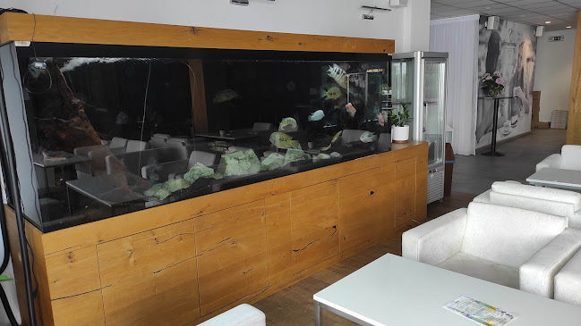 Cukráreň Alžbetka - Gastronómia a pohostinstvo