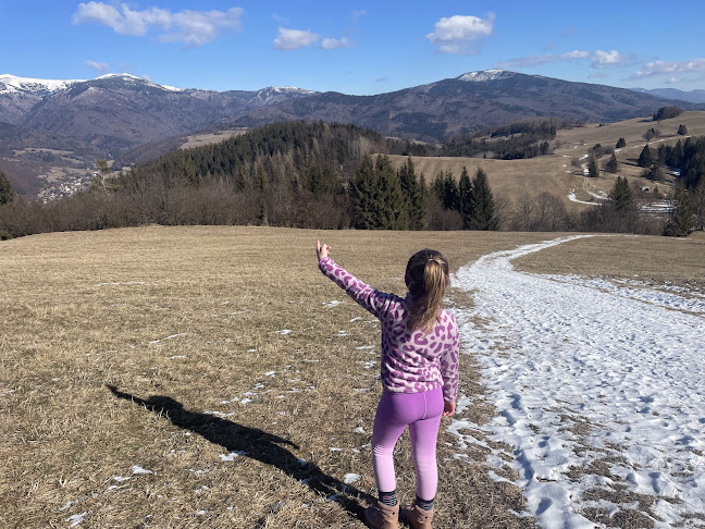 Opinii despre Dedečkova chata în Mýto pod Ďumbierom - Gastronómia a pohostinstvo