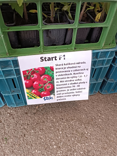 Trhovisko pri OC Družba - Gastronómia a pohostinstvo