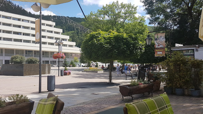 Tomáša Garrigue Masaryka 31, 914 51 Trenčianske Teplice