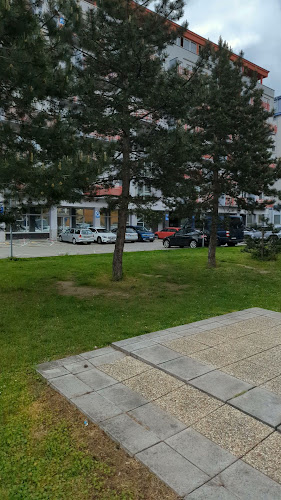 Pizzeria San Vincenzo - Gastronómia a pohostinstvo