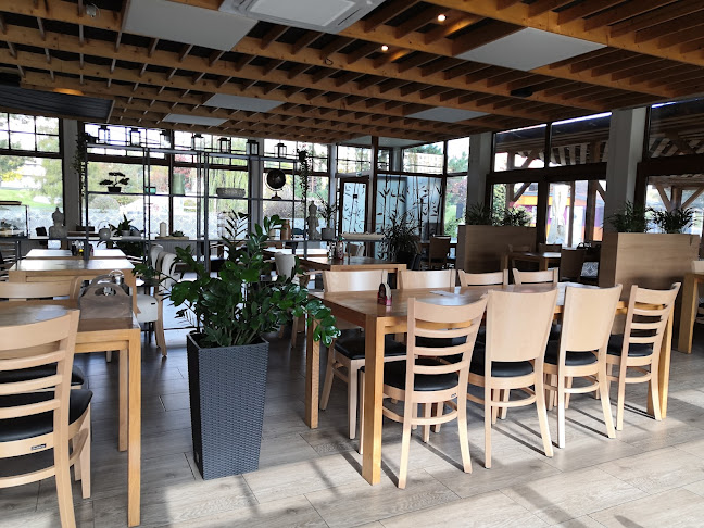 Comentarii opinii despre Mango reštaurácia, sushi & bar