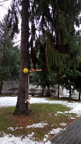 Rekreačné stredisko PÚŠŤ - Gastronómia a pohostinstvo