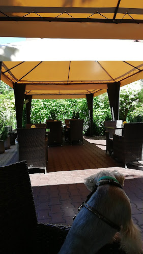 Frais restaurant, coctails, vine