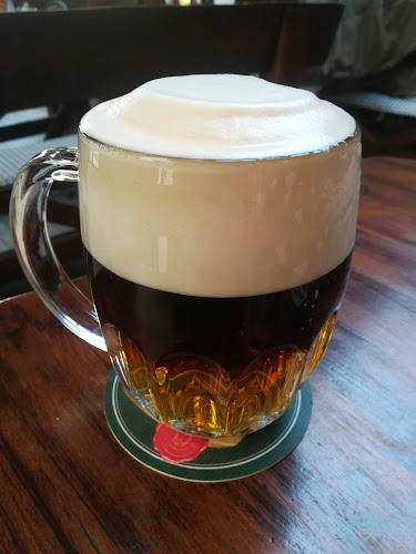 Opinii despre Malacká Plzeňka în Malacky - Gastronómia a pohostinstvo
