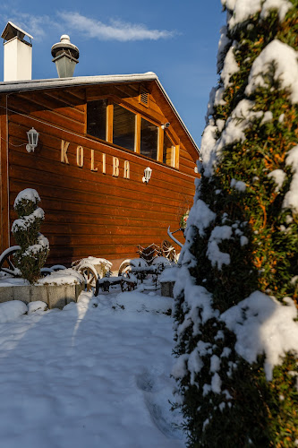 Comentarii opinii despre Koliba Bystrina
