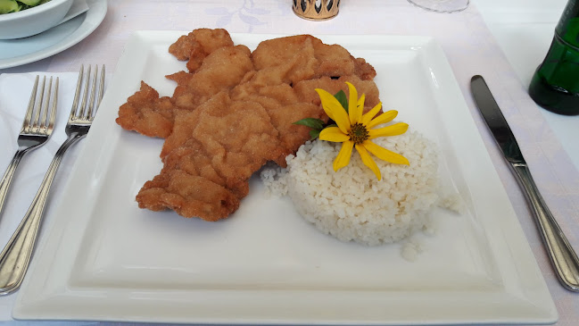 Jelšovce 240, 951 43 Jelšovce