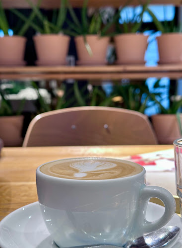 MONDIEU FRANCHISÉ No. 1 - Staré Mesto